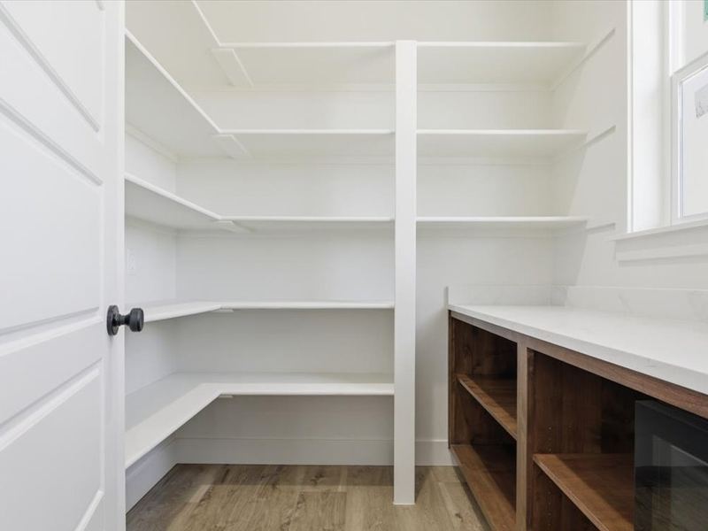 Walk-in pantry with open shelving and a counter